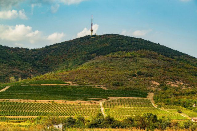 Eladó telek, Tokajban 62 M Ft / költözzbe.hu