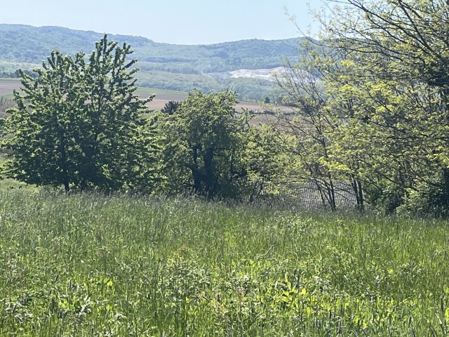 Eladó mezogazdasagi ingatlan, Várvölgyön 4.5 M Ft