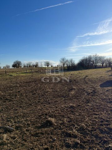 Eladó mezogazdasagi ingatlan, Sárbogárdon 125 M Ft