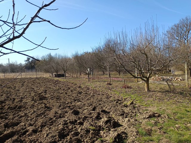 Eladó mezogazdasagi ingatlan, Sárospatakon 5 M Ft