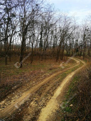 Eladó telek, Nagykapornakon 3.4 M Ft / költözzbe.hu