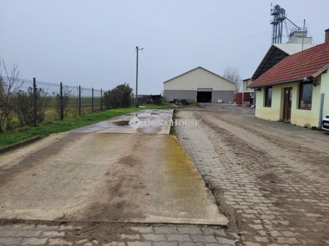 Eladó mezogazdasagi ingatlan, Szőlősgyörökön 350 M Ft