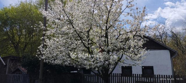 Eladó mezogazdasagi ingatlan, Csemőn 41.6 M Ft, 3 szobás