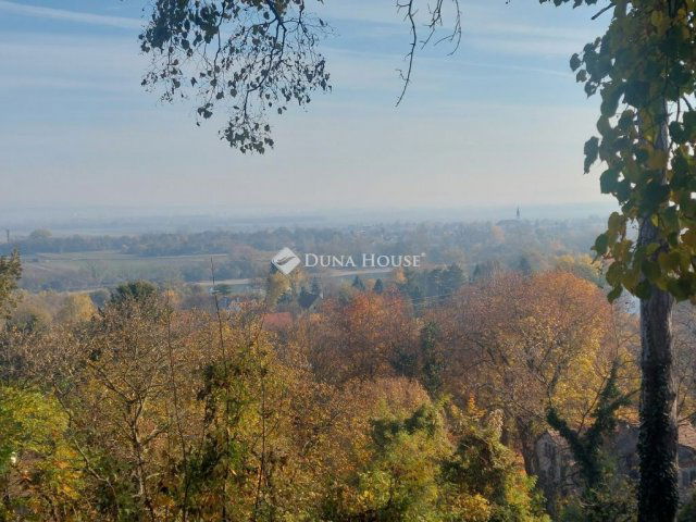 Eladó családi ház, Tahitótfalun 600 M Ft, 8 szobás