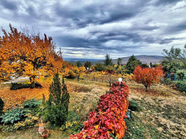 Eladó családi ház, Pécsett, Sziklás dűlőn 196 M Ft, 6 szobás