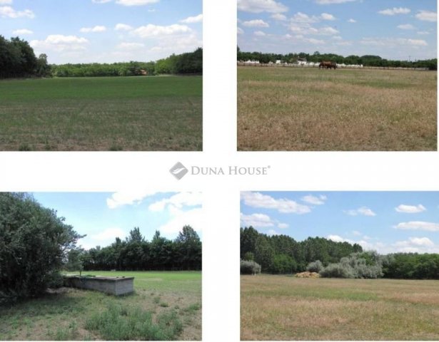 Eladó mezogazdasagi ingatlan, Lajosmizsén 300 M Ft