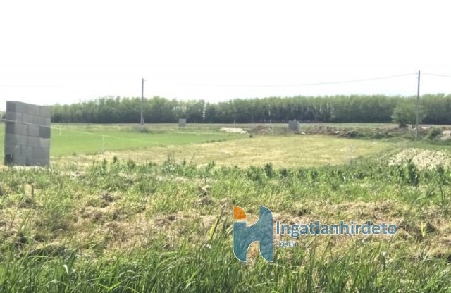 Eladó mezogazdasagi ingatlan, Alsópáhokon 15.9 M Ft
