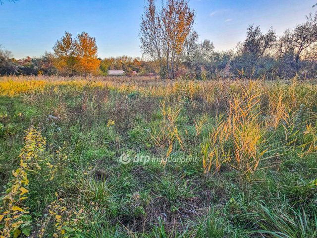 Eladó telek, Gárdonyban 139 M Ft / költözzbe.hu
