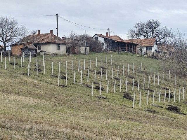 Eladó nyaraló, Zalaszabaron 18 M Ft, 1 szobás