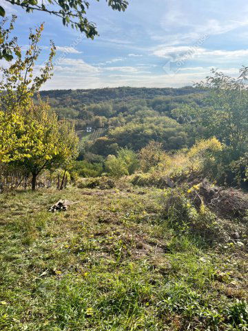 Eladó telek, Pethőhenyen 1.5 M Ft / költözzbe.hu