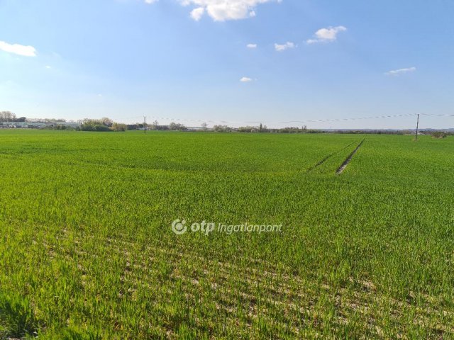 Eladó mezogazdasagi ingatlan, Szigetszentmiklóson 99.9 M Ft