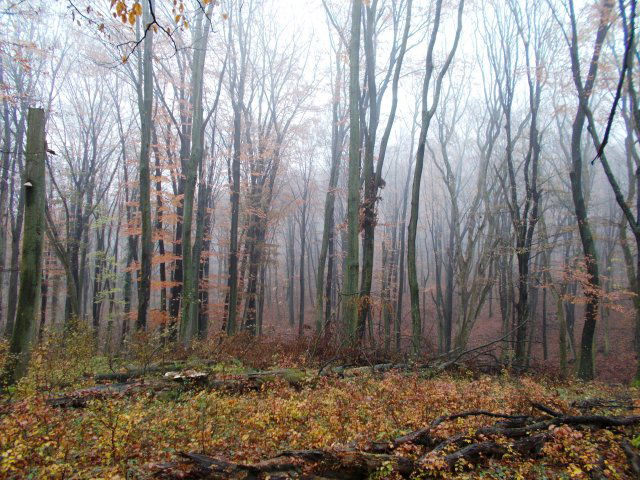 Eladó mezogazdasagi ingatlan, Orosztonyon 215 M Ft