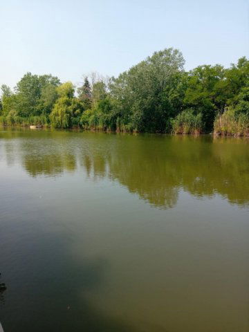Eladó telek, Gyomaendrődön 7.9 M Ft / költözzbe.hu