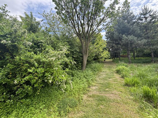 Eladó telek, Komáromban 24 M Ft / költözzbe.hu