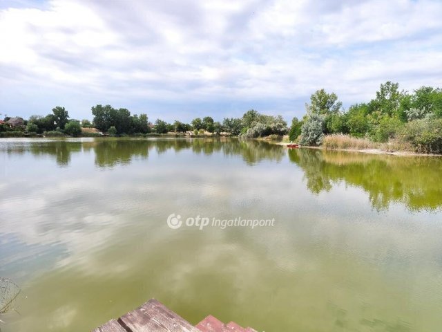 Eladó telek, Délegyházán 21.5 M Ft / költözzbe.hu