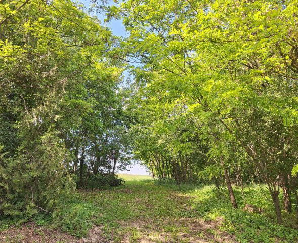 Eladó telek, Kéthelyen 69.9 M Ft / költözzbe.hu