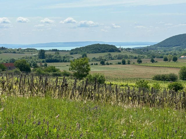 Eladó családi ház, Szentjakabfán 79 M Ft, 2 szobás