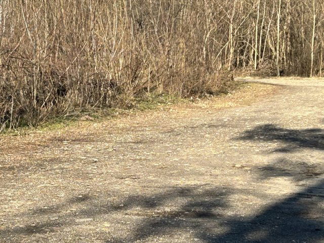 Eladó telek, Dabason 30 M Ft / költözzbe.hu