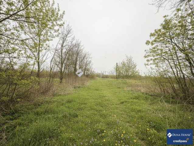 Eladó telek, Felcsúton 13.5 M Ft / költözzbe.hu