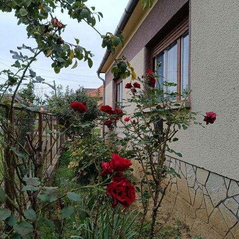 Eladó családi ház, Letenyén 25.9 M Ft, 3 szobás