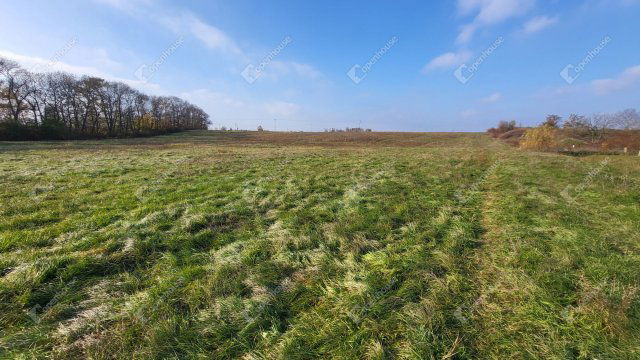 Eladó mezogazdasagi ingatlan, Mezőkövesden 107 M Ft
