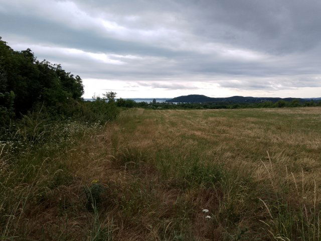 Eladó mezogazdasagi ingatlan, Balatonfüreden 10.5 M Ft