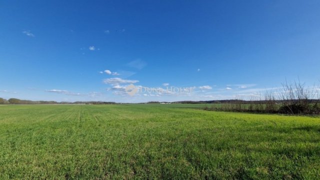 Eladó mezogazdasagi ingatlan, Sülysápon 40.5 M Ft