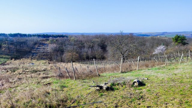 Eladó mezogazdasagi ingatlan, Egerben 18 M Ft