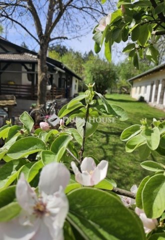 Eladó mezogazdasagi ingatlan, Kecskeméten 85 M Ft, 4 szobás