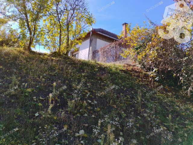 Eladó családi ház, Tiszaalpáron 23.9 M Ft, 2 szobás