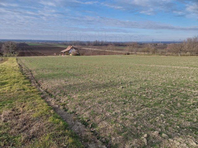 Eladó mezogazdasagi ingatlan, Lepsényben 10.5 M Ft