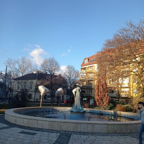 Kiadó téglalakás, albérlet, Szegeden, Zárda utcában, 2 szobás