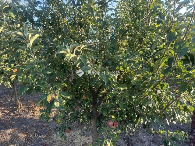 Eladó családi ház, Bugyin 82 M Ft, 5 szobás