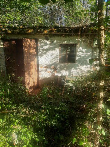 Eladó mezogazdasagi ingatlan, Sármelléken 12.2 M Ft