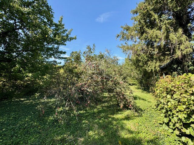 Eladó telek, Diósdon 149.9 M Ft / költözzbe.hu