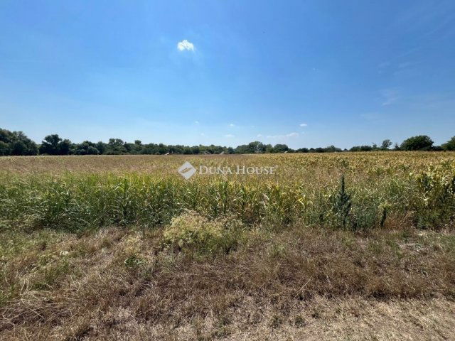 Eladó telek, Pátkán 4.5 M Ft / költözzbe.hu