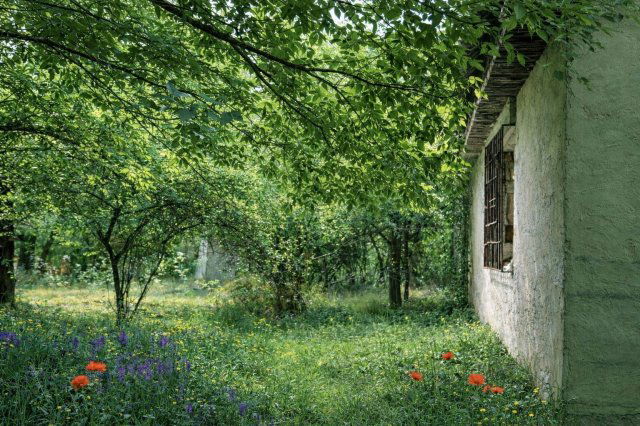 Eladó telek, Lajosmizsén 19.9 M Ft / költözzbe.hu