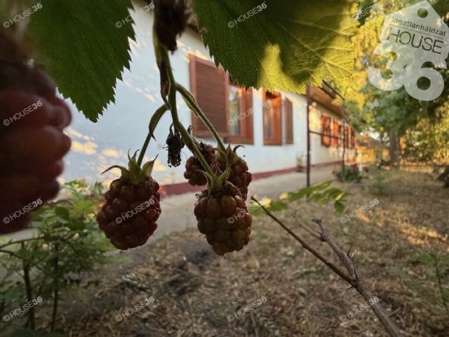 Eladó mezogazdasagi ingatlan, Kecskeméten 89.9 M Ft, 3 szobás