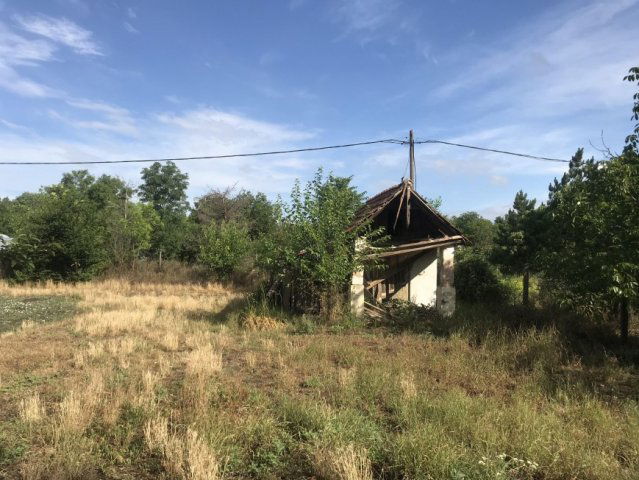 Eladó mezogazdasagi ingatlan, Szentesen 2.2 M Ft
