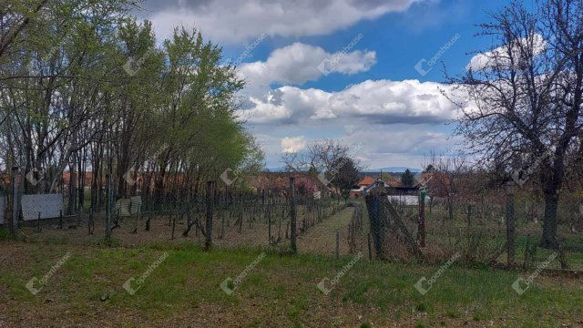 Eladó családi ház, Tóalmáson 44.3 M Ft, 5 szobás