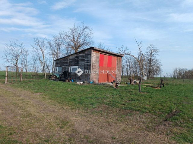 Eladó mezogazdasagi ingatlan, Tiszaalpáron 13.5 M Ft, 2+1 szobás