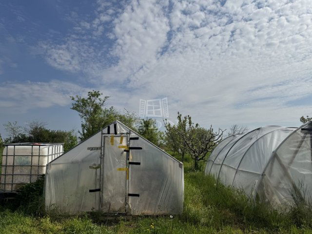 Eladó családi ház, Mátyásdombon 31 M Ft, 2 szobás