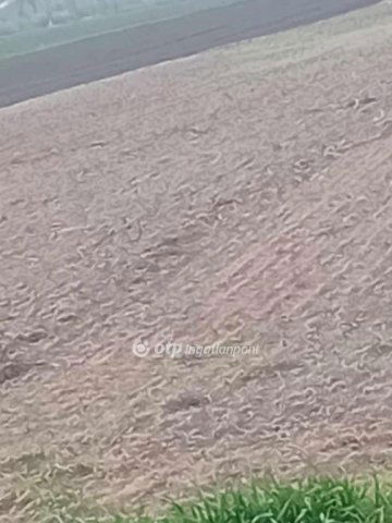 Eladó mezogazdasagi ingatlan, Derecskén 3.6 M Ft