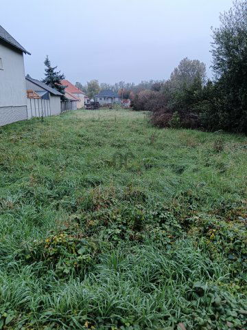 Eladó telek, Bükön 12 M Ft / költözzbe.hu