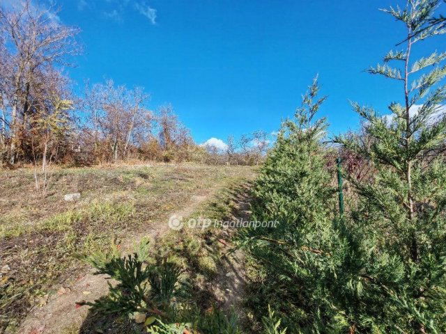 Eladó telek, Zsámbékon 14 M Ft / költözzbe.hu