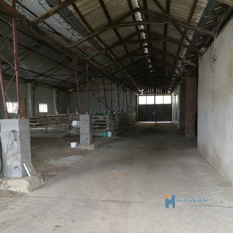 Kiadó mezogazdasagi ingatlan, Lakhegyen 450 E Ft / hó