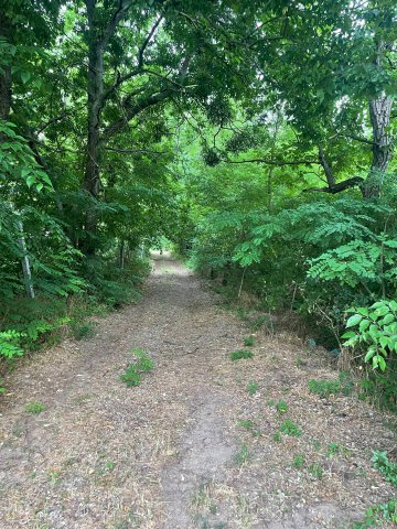 Eladó mezogazdasagi ingatlan, Szomódon 149 M Ft