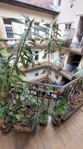 Kiadó téglalakás, albérlet, IX. kerületben, Lenhossék utcában