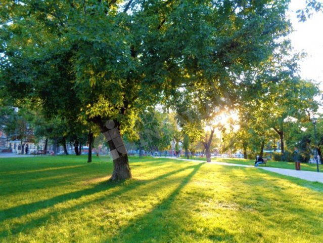 Kiadó téglalakás, albérlet, Budapesten, VIII. kerületben