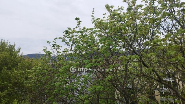Eladó panellakás, Budapesten, III. kerületben 92.5 M Ft, 4 szobás